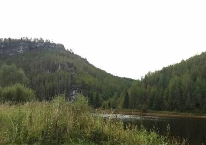 Спор о статусе охраняемого природного объекта в Губахинском округе вновь рассмотрит суд