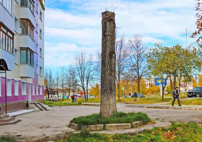 О, сколько нам открытий чудных готовят в центре города. Странности осеннего дня в фотографиях 27 сентября