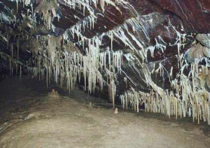 Пермские спелеологи совершили открытие в одной из пещер Губахинского округа 