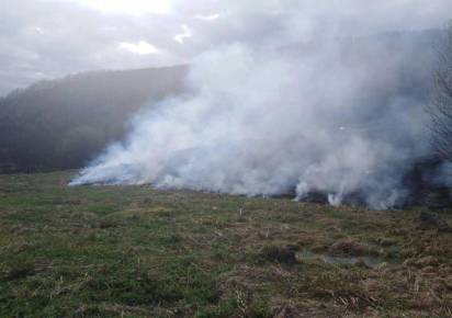 В конце июля в Пермском крае произошло четыре крупных лесных пожара