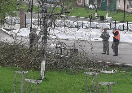 Губахинцы обеспокоены вырубкой деревьев в сквере Победы