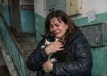 Житель Гремячинска предстанет перед судом за жестокое обращение с животным