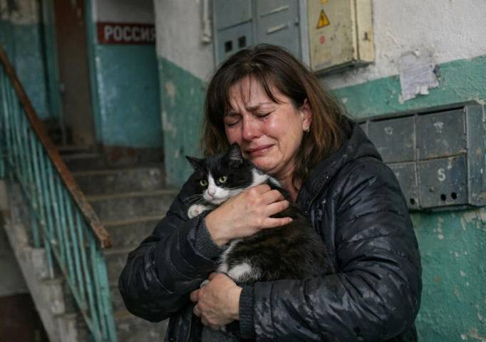 Житель Гремячинска предстанет перед судом за жестокое обращение с животным