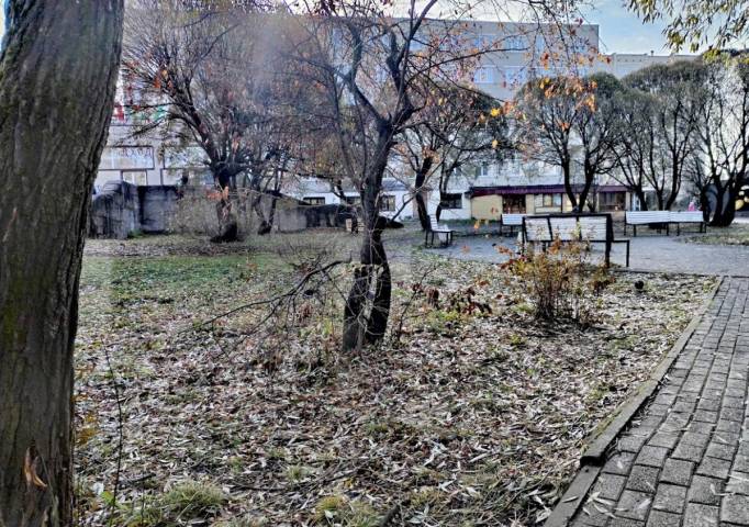 В выходные в КУБе немного потеплеет, но ближе к понедельнику всё может измениться
