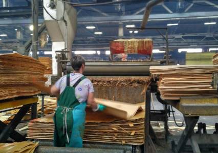 Деревообрабатывающий комбинат в Гремячинске получит заём в 65 млн рублей на модернизацию производства