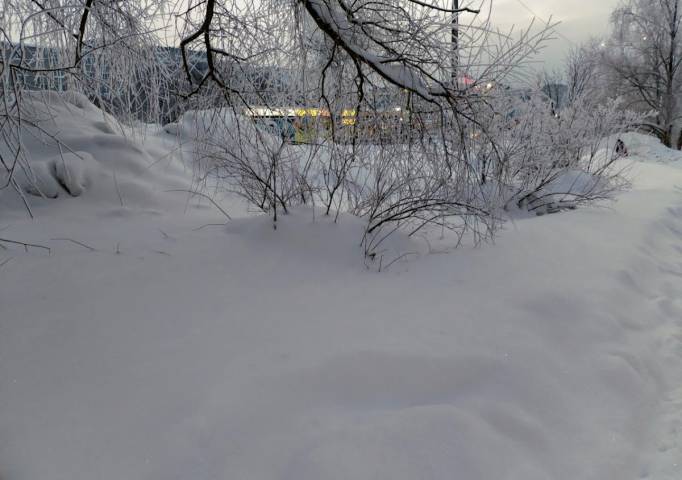 Губахинская метеостанция зафиксировала снежный максимум