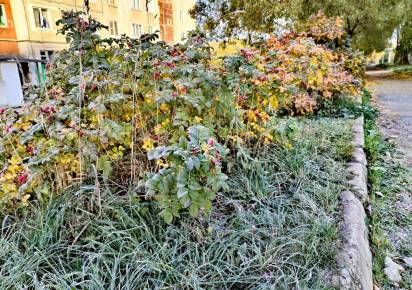 Губаха вошла в тройку населённых пунктов с самыми низкими ночными температурами