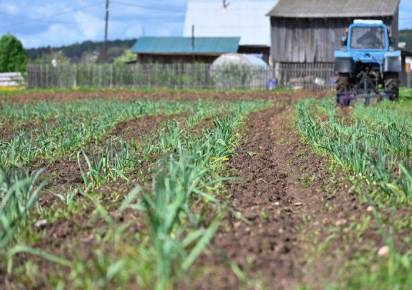 Направление – перспективное. Роскачество включило Пермский край в десятку лидеров по производству органики