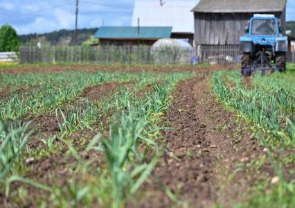 Направление – перспективное. Роскачество включило Пермский край в десятку лидеров по производству органики