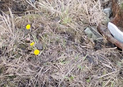 Синоптики обещают очередные температурные рекорды в Прикамье