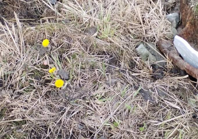 Синоптики обещают очередные температурные рекорды в Прикамье