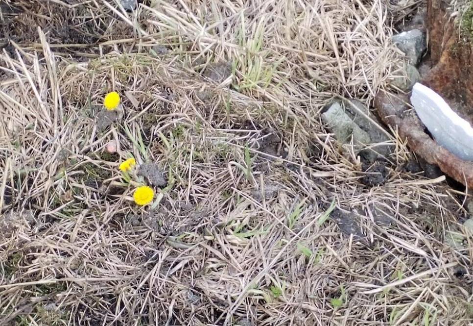 Синоптики обещают очередные температурные рекорды в Прикамье