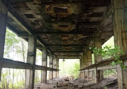 Жизнь – рулетка. Смотрим, что выпало на 25 мая