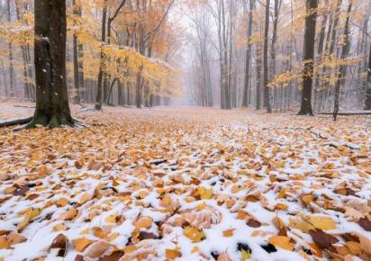 Первый снег на территории Прикамья может выпасть уже на следующей неделе
