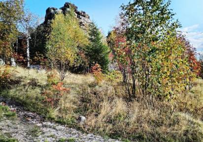 В Прикамье придут холодные дни и сильные ночные заморозки