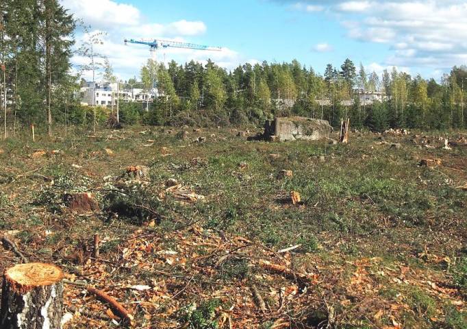 В Губахинском округе увеличили минимальный размер земельного участка под ИЖС для отдельных категорий граждан