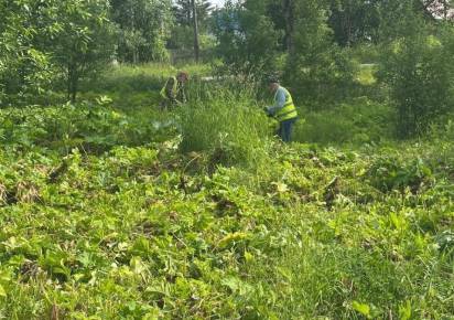 На первом месте – безопасность. Выяснили, как решаются проблемы, возникшие у нового перевозчика, и какие способы используют для борьбы с борщевиком