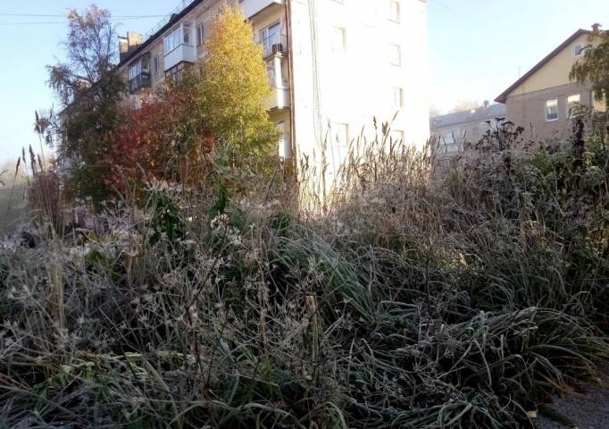 Синоптики рассказали, насколько холодной будет погода в Прикамье зимой и в первый месяц весны