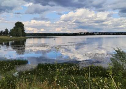 В Пермском крае антициклон сменится циклоном: какой будет погода в течение недели