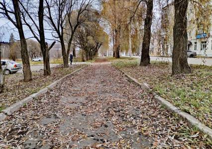 Станет сором роскошь увяданья. Что делать с опавшими листьями, и кто за это в ответе