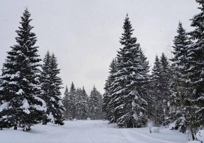 В Прикамье будет тепло, несмотря на похолодание