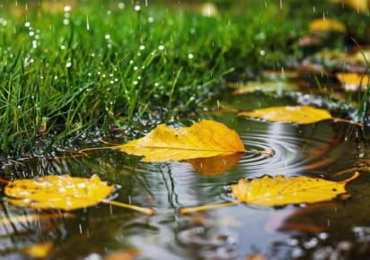 Синоптики поделились перспективами на погоду в последние дни лета