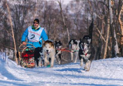В одном из городов Пермского края пройдут гонки на собачьих упряжках