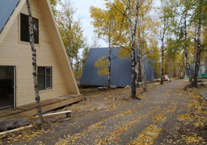 Приключения губахинского пса на фоне золотой осени