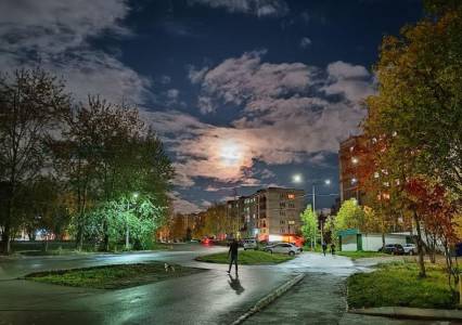 Проекты нужные для жизни