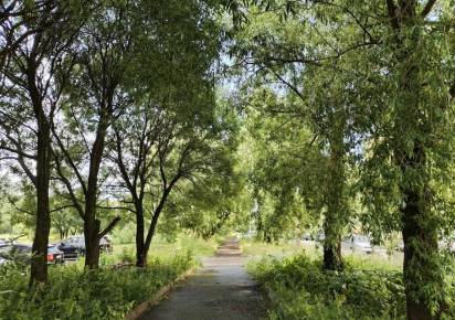 Синоптики поделились прогнозом погоды на выходные