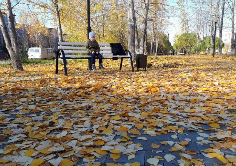 Синоптики анонсировали наступление бабьего лета