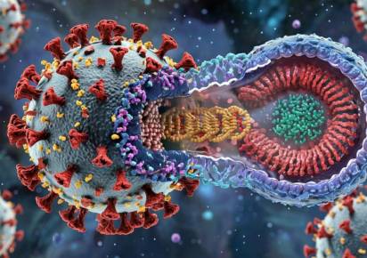 В Роспотребнадзоре уточнили, когда в Прикамье наступит пик заболеваемости гриппом