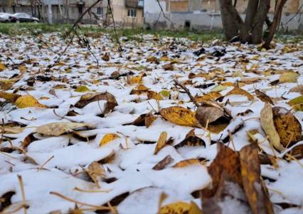 Метеорологи обещают, что к концу текущей недели может появиться снежный покров