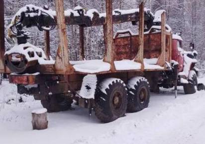 Житель Губахинского округа незаконно вырубил деревья стоимостью 4 млн рублей