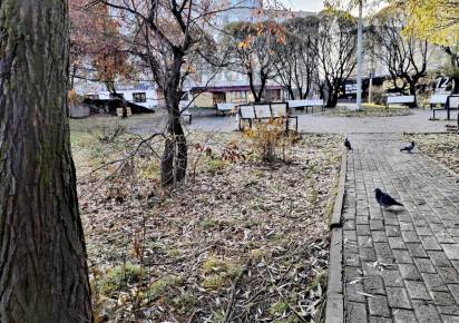 Синоптики предупредили о первых зимних проблемах: в отдельных районах ожидается гололедица