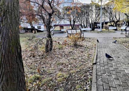 Синоптики предупредили о первых зимних проблемах: в отдельных районах ожидается гололедица