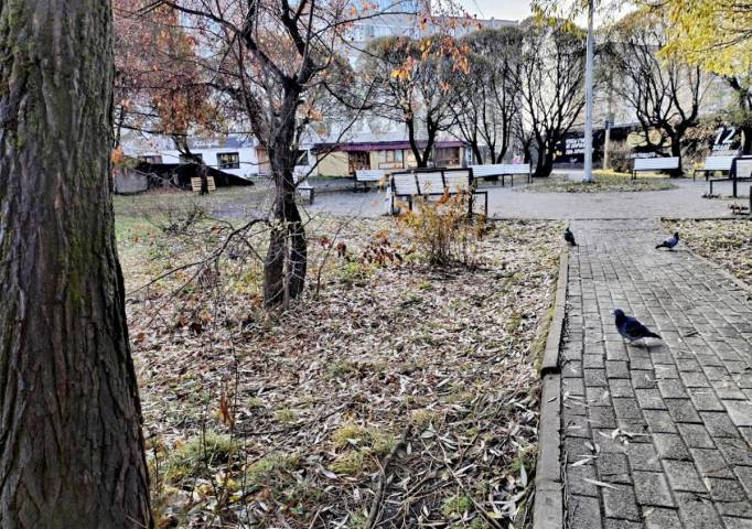 Синоптики предупредили о первых зимних проблемах: в отдельных районах ожидается гололедица