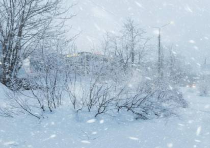 Февраль меры не знает. Метеорологи представили предварительный прогноз на месяц