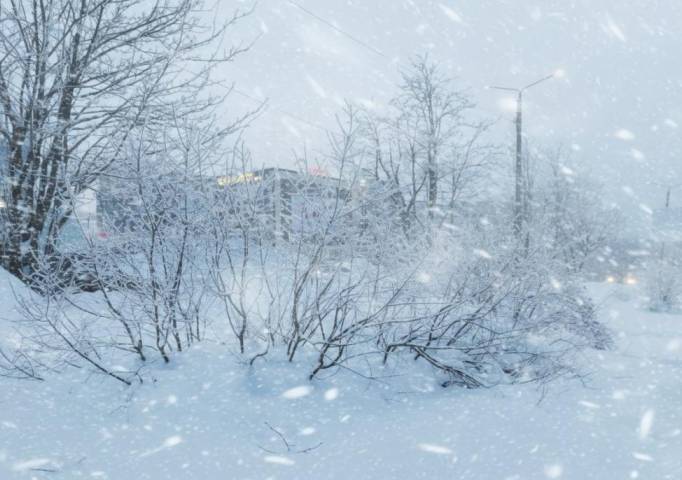 Февраль меры не знает. Метеорологи представили предварительный прогноз на месяц