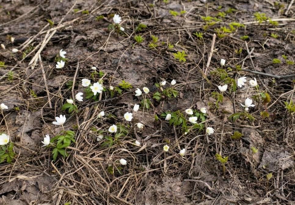 Доктор географических наук рассказал, какой будет погода в майские праздники