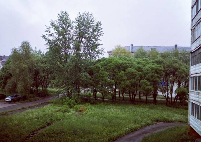 В Пермском крае на текущей неделе ожидается погода теплее климатической нормы, но с дождями и грозами