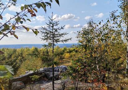 Некоторых ищут уже более 5 лет. Поисковики сообщили, сколько пропавших жителей Губахинского округа до сих пор разыскивают